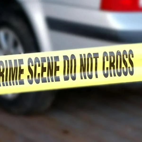 Niño en EE. UU. murió asfixiado dentro de carro: lo encerraron con calor extremo