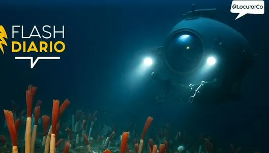 ¡Hay vida a 10 kilómetros bajo el mar!