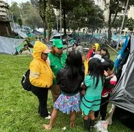 indígenas Embera armaron fiesta en el Parque Nacional y terminó en caos: hubo un motociclista muerto y bloqueos en la Séptima con 39. 