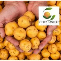 Precio de la papa hoy 5 de agosto 2025 en Corabastos: subió por paro campesino 