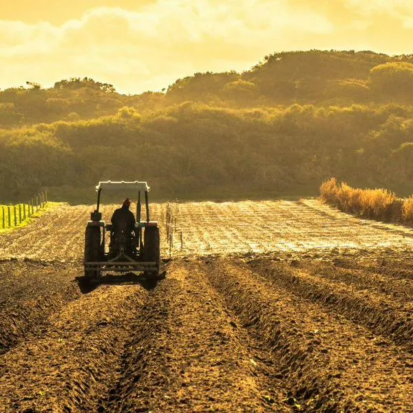 Precios al productor subieron 0,25% en julio, impulsado por la agricultura