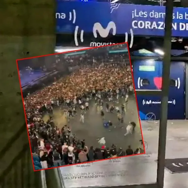 Asistente concierto Damas Gratis en Movistar Arena criticó falta de Policía