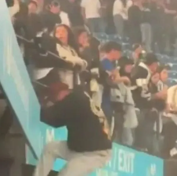 Identifican al hincha de Santa Fe que murió en disturbios del Movistar Arena; fue atropellado por un carro cuando intentaba huir de los hechos.