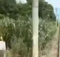 Video: aparece misteriosa figura vista en cámara de tren sin acceso a peatones