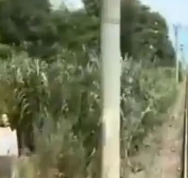 Video: aparece misteriosa figura vista en cámara de tren sin acceso a peatones