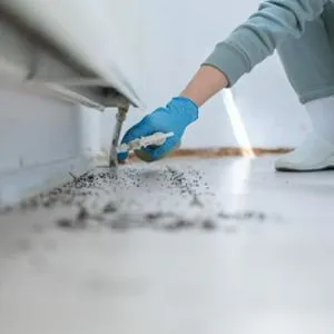 Vacantes para jóvenes sin experiencia