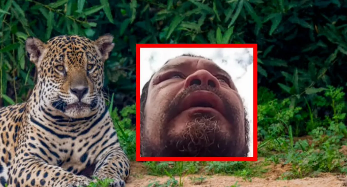 Hombre murió por defender a sus perros de ataque de un jaguar en Brasil