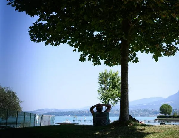 Ola de calor enciende las alarmas en el sur de Francia