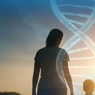 Diabetes tipo 2: El mapa secreto del ADN familiar