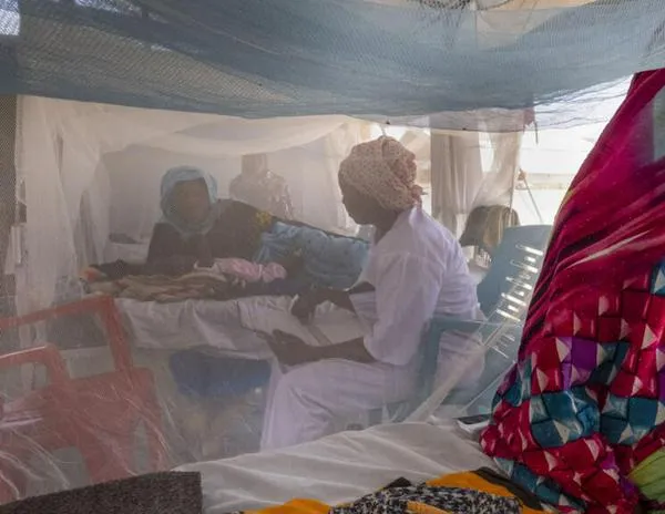 Sudán registra al menos 63 muertos por desnutrición en Darfur