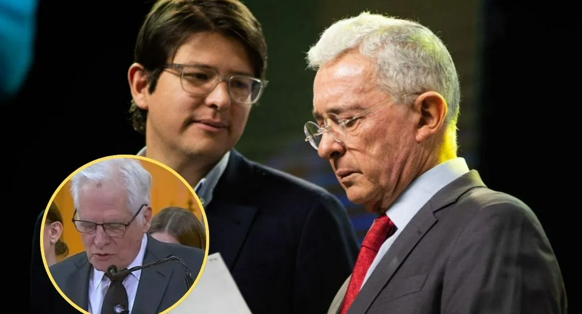 Descripción de la imagen