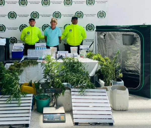 Cayó laboratorio de marihuana en Valledupar: producían más de 500 dosis semanales