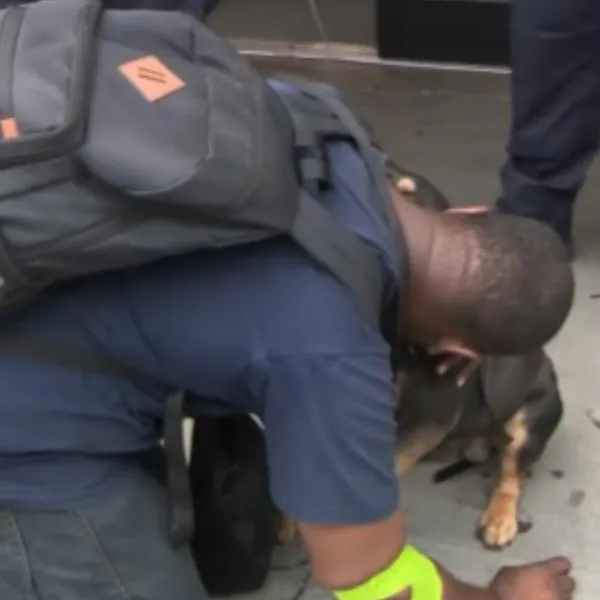 Video viral: habitante de calle se reencontró con su perro, robado días antes
