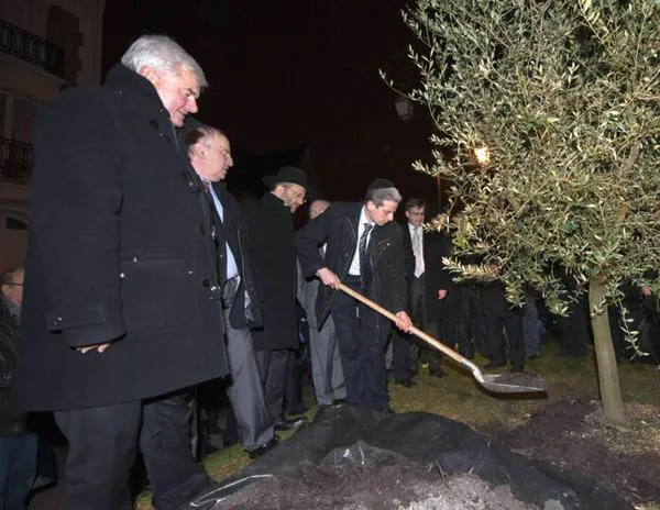 Condena de la clase política a la tala de un árbol en homenaje a un judío francés asesinado