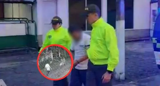 Testigo dijo cómo encontró a menor que habría sido abusada por un pastor en Santa Rosa de Cabal: "Estaba en las últimas". 