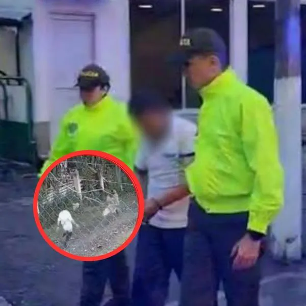 Testigo dijo cómo encontró a menor que habría sido abusada por un pastor en Santa Rosa de Cabal: "Estaba en las últimas". 