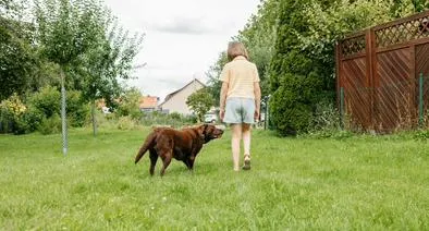 Niña de 14 años desapareció en Ciudad Verde, Soacha, luego de pasear a su perro