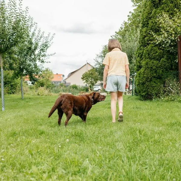 Niña de 14 años desapareció en Ciudad Verde, Soacha, luego de pasear a su perro