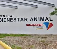 ¡Por fin! Entró en funcionamiento el Centro de Bienestar Animal