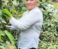 Convocatorias del Proyecto Gualí en el Tolima: $14 mil millones para caficultores, mujeres y jóvenes