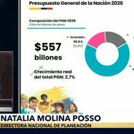 Directora del DNP, destacó reducción de la inflación de alimentos a 4,9% desde el 13,2% de 2023