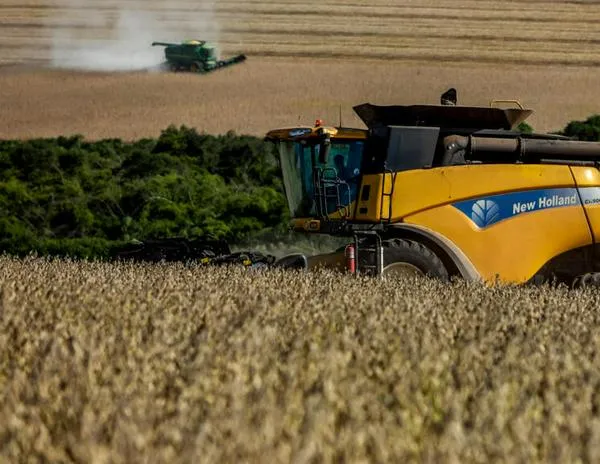Brasil suspende el pacto que impedía la exportación de soja procedente de la deforestación