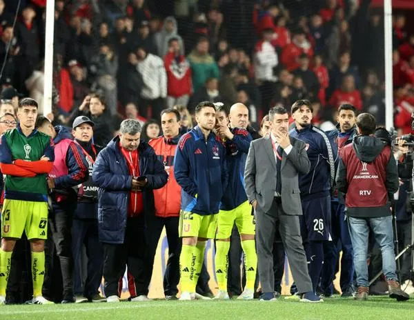 Batalla campal en un estadio argentino: la violencia en el fútbol bajo la lupa de un experto