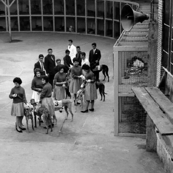Canódromo de Bogotá: cómo era, dónde quedaba y su impacto en la ciudad