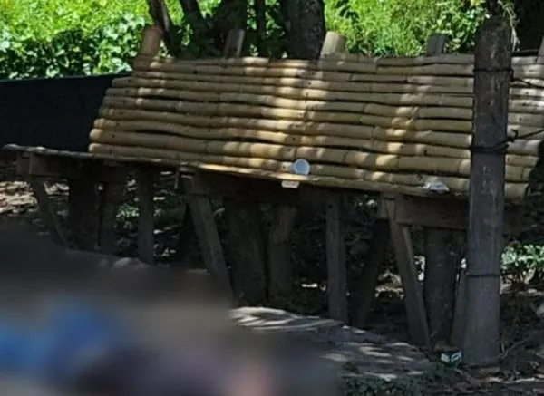 Balacera a pocas cuadras de un Cai: de disparos asesinaron a un hombre que estaba en un parque
