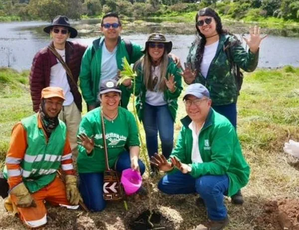 Bogotá avanza en restauración del humedal El Tunjo con plantación de 80 árboles  