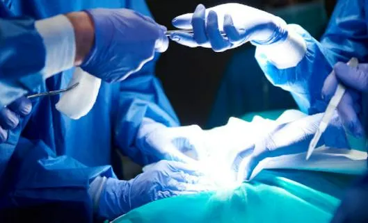 Realizan el primer trasplante de pulmón de cerdo a un humano en muerte cerebral