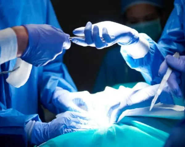 Realizan el primer trasplante de pulmón de cerdo a un humano en muerte cerebral