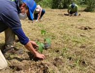 Este es el método que emplea Manizales para cuidar su futuro ambiental