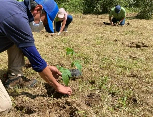 Este es el método que emplea Manizales para cuidar su futuro ambiental
