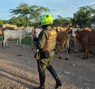 Con operativo en Los Venados, Valledupar, buscan reforzar la seguridad y prevenir delitos