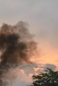 Vecinos denuncian contaminación en granja avícola que asocian con Silvestre Dangond en Valledupar