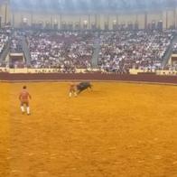 Luto en la tauromaquia: fallece Manuel Trindade en su debut en Lisboa, qué pasó