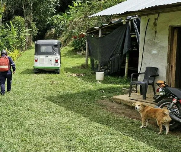 Ataque de abejas africanizadas afecta a cinco agricultores en el oriente de Caldas