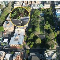 Ratas en Bogotá: mujer ve ratas en Parque de la 93 y dice que son ardillas