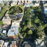 Ratas en Bogotá: mujer ve ratas en Parque de la 93 y dice que son ardillas