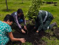 Bogotá celebra la Copa 70 Años con deporte y naturaleza en parque El Tunal: Sábado 30 de agosto 
