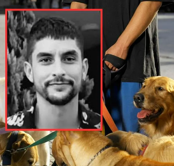 Paseador de perros fue asesinado por intolerancia: su agresor está libre
