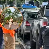 Esto se sabe sobre influencer que fue brutalmente asesinada junto a su esposo y dos hijos