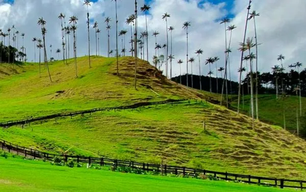 Destinan $3.000 millones para el desarrollo territorial de joyas turísticas del Eje Cafetero