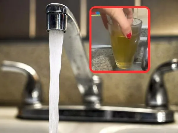 Agua amarilla en Bogotá: video muestra cómo sale de las llaves de las casas