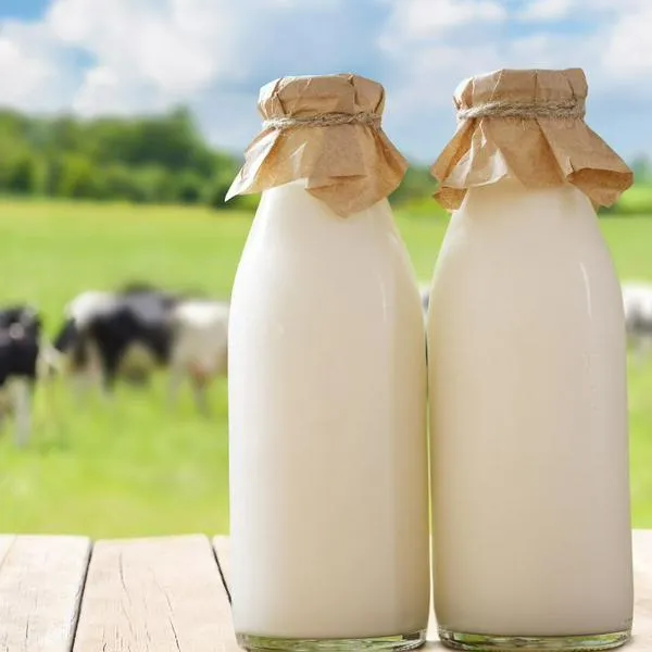 Qué pasa con leche en Colombia: dicen problema para campesinos y consumidores