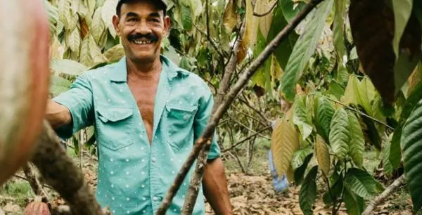 Cacao, chocolate y confitería: los pesos pesados del sector más grande de Caldas, mueve billones de pesos
