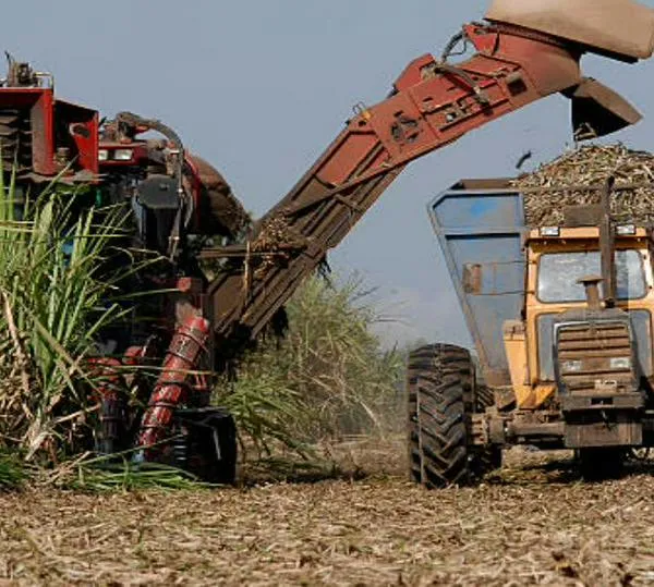 Tras más de 60 años Incauca renueva su imagen y destaca aportes en energía