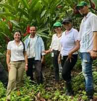 Campesinos de la Serranía de Perijá exportaron 50 toneladas de cacao premium a Reino Unido
