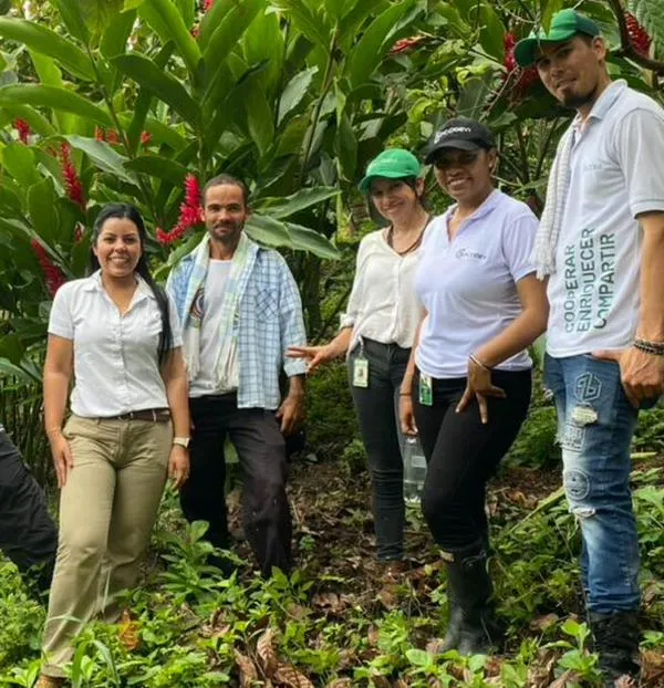 Campesinos de la Serranía de Perijá exportaron 50 toneladas de cacao premium a Reino Unido